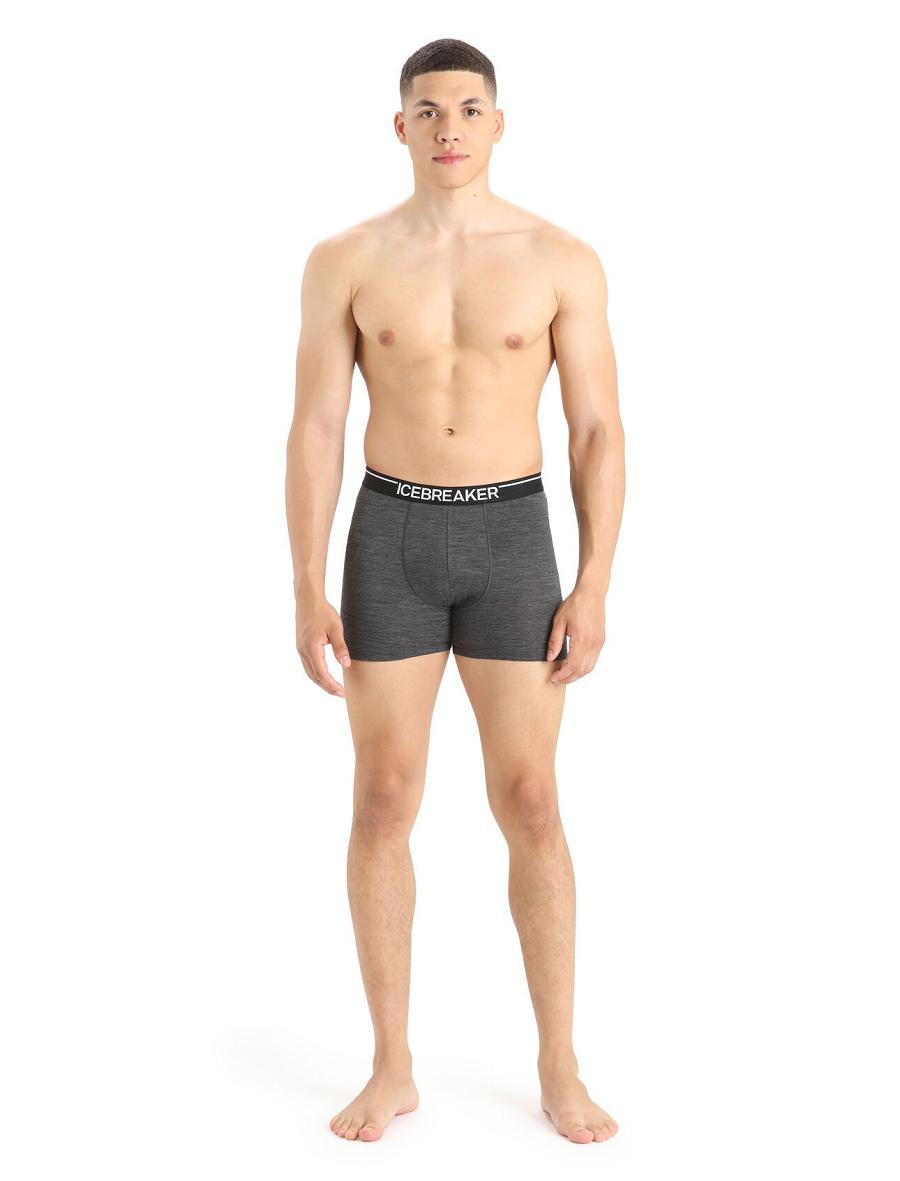 Jet Heather Men's Icebreaker Merino Anatomica Boxers Underwear | USA 1316MQZA